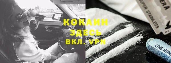 ПСИЛОЦИБИНОВЫЕ ГРИБЫ Коряжма