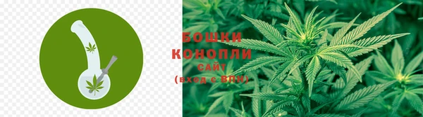 ПСИЛОЦИБИНОВЫЕ ГРИБЫ Коряжма