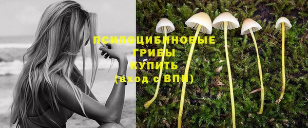ПСИЛОЦИБИНОВЫЕ ГРИБЫ Коряжма