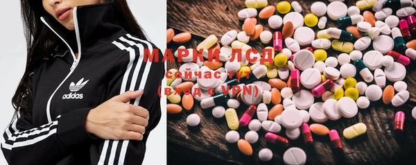 ПСИЛОЦИБИНОВЫЕ ГРИБЫ Коряжма
