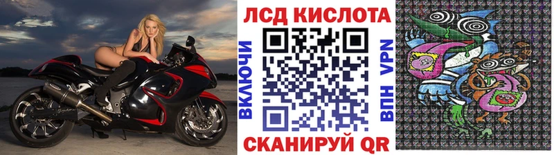 как найти наркотики  Приволжский  Наркотические марки 1,5мг 