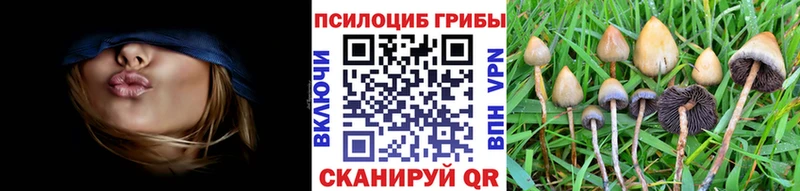 Псилоцибиновые грибы Psilocybe  гидра ТОР  Приволжский 